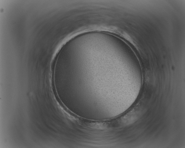 X0000062871508200601171408