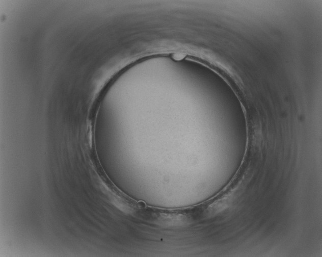 X0000062871509200601171408