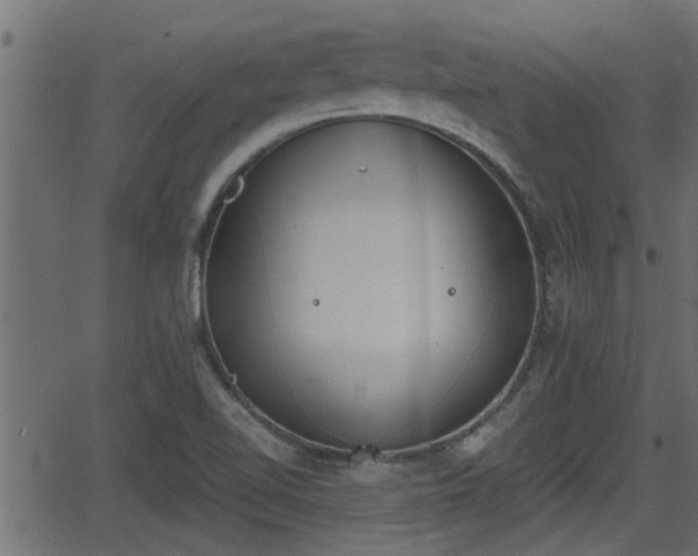 X0000062871510200601171408