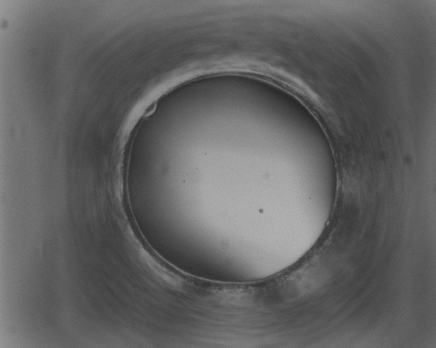 X0000062871512200601171408