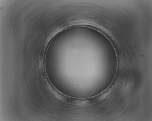 X0000062871513200601171408