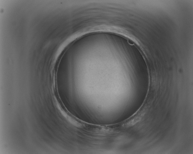 X0000062871515200601171408