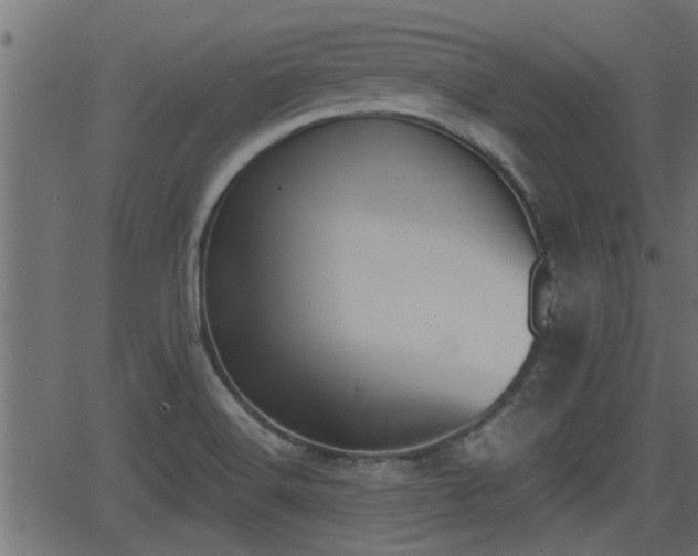 X0000062871516200601171408