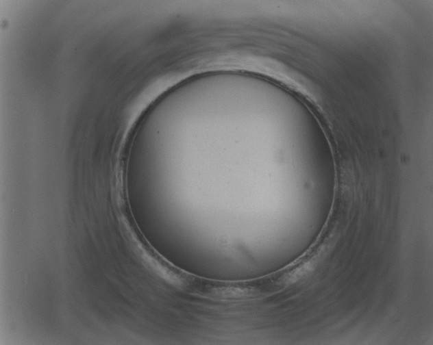 X0000062871517200601171408