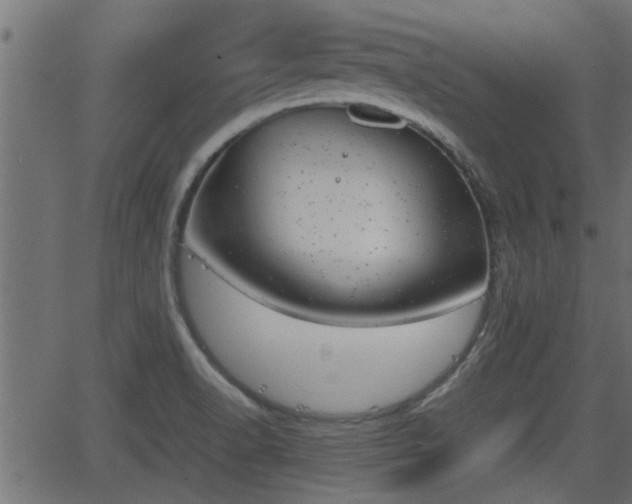 X0000062871518200601171408