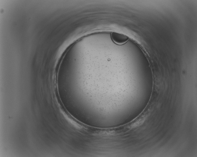 X0000062871519200601171408