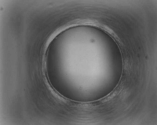 X0000062871520200601171408