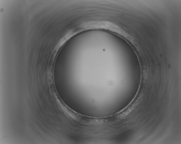 X0000062871521200601171408