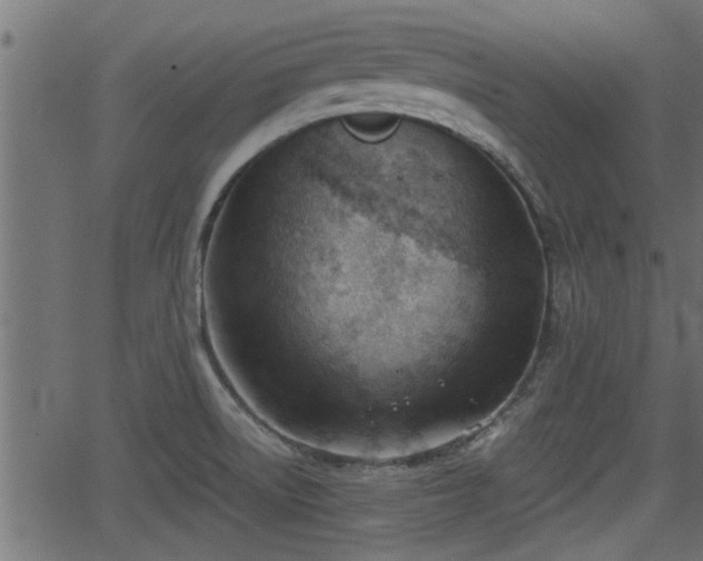 X0000062871522200601171408