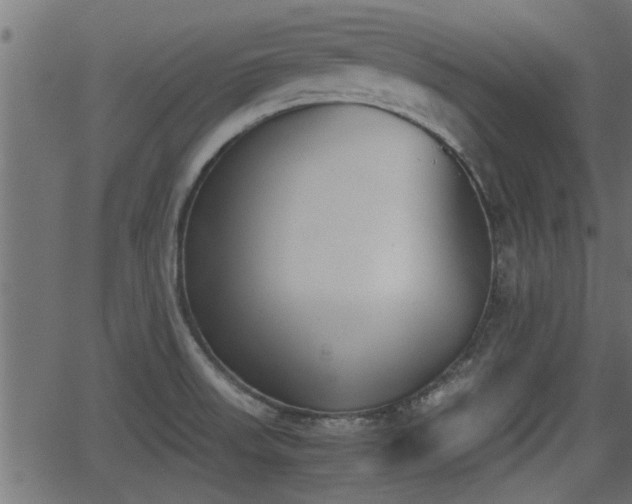 X0000062871523200601171408