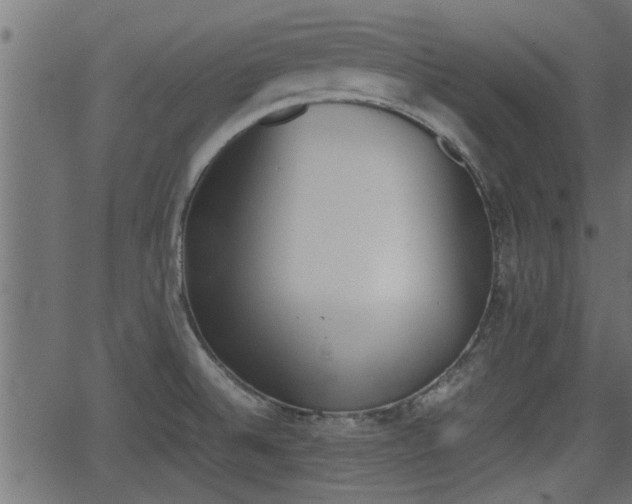 X0000062871524200601171408