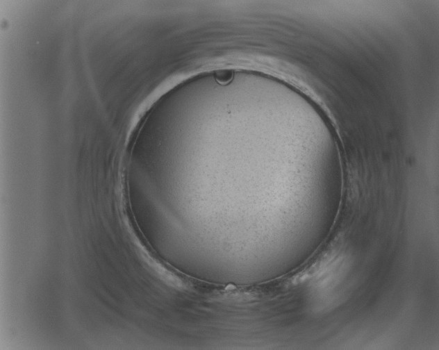 X0000062871525200601171408