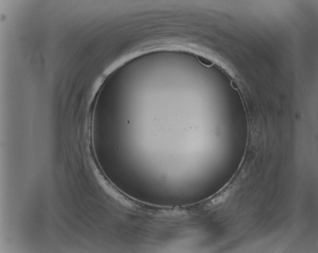 X0000062871526200601171408