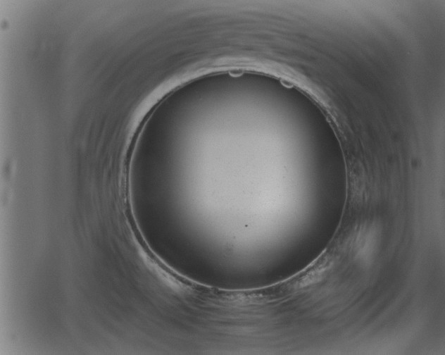 X0000062871527200601171408