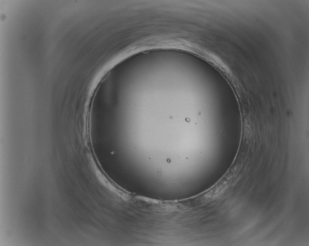 X0000062871528200601171408