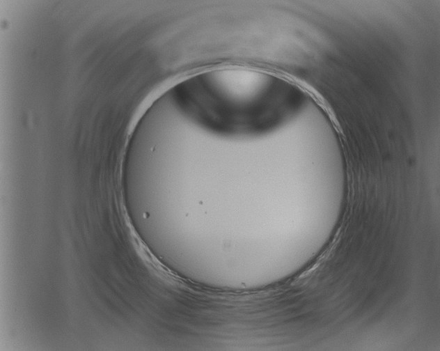 X0000062871530200601171408