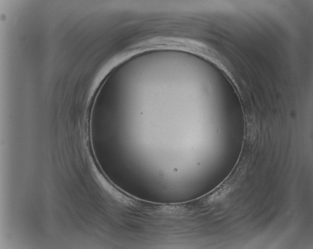 X0000062871531200601171408