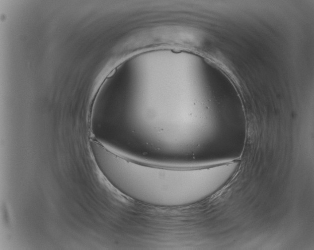 X0000062871532200601171408