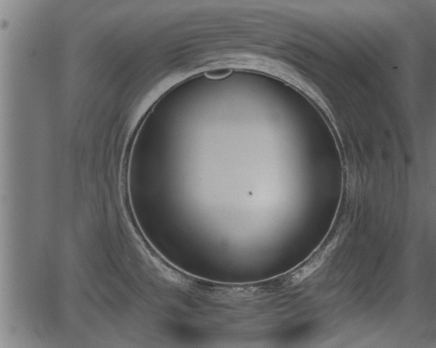 X0000062871533200601171408