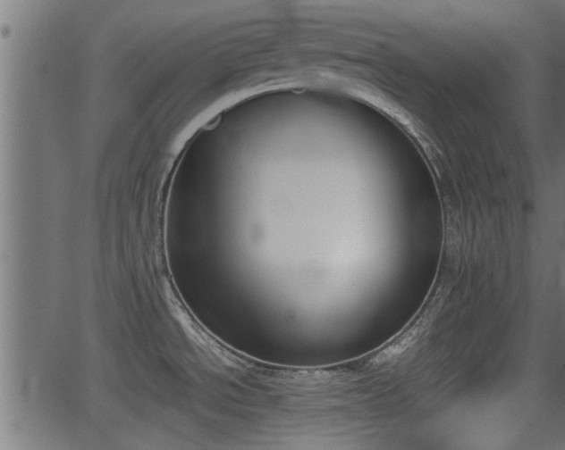 X0000062871534200601171408