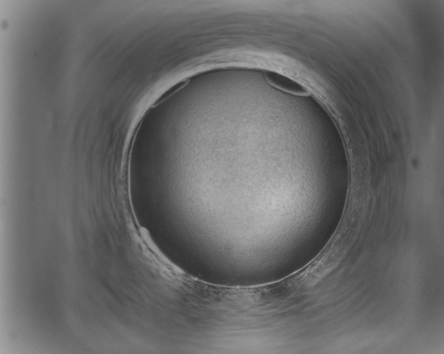 X0000062871536200601171408