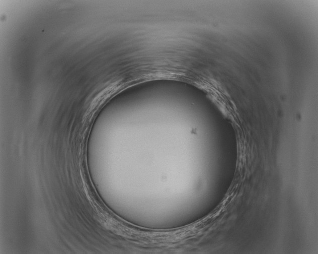 X0000062870001200601201806