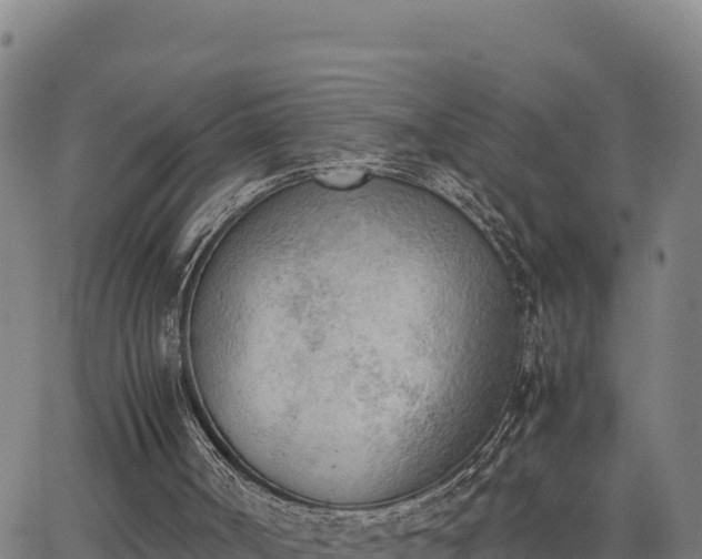 X0000062870002200601201806