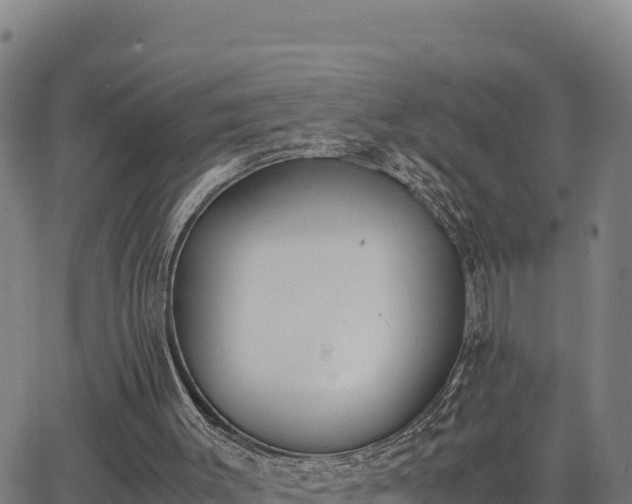 X0000062870003200601201806