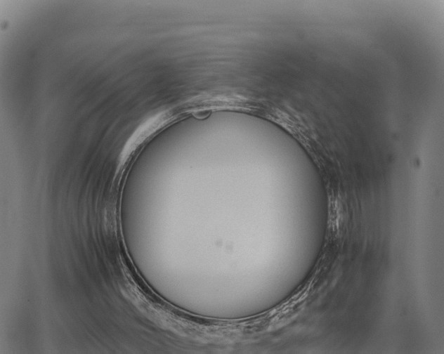 X0000062870004200601201806