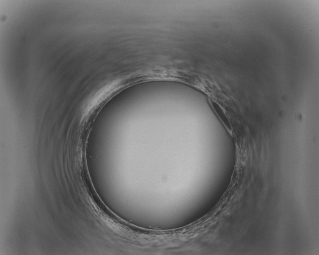 X0000062870005200601201806