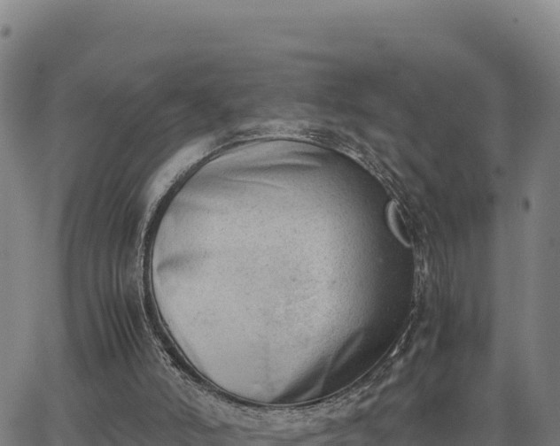 X0000062870006200601201806