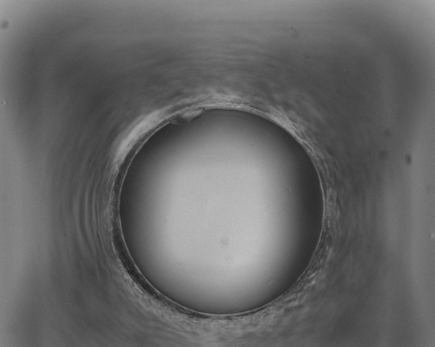 X0000062870007200601201806