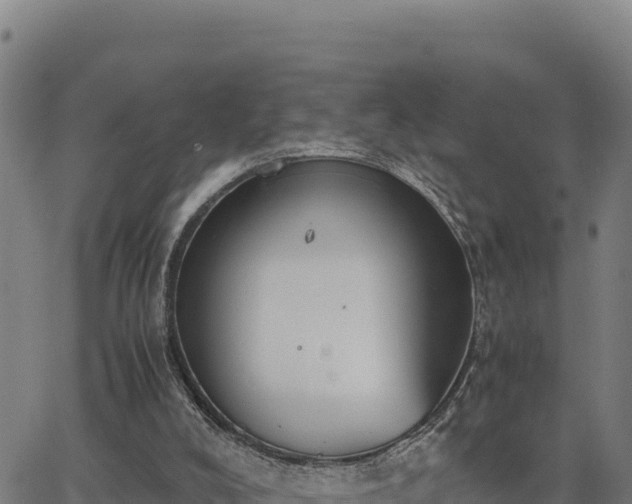 X0000062870008200601201806