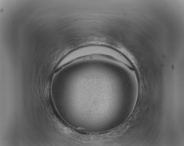 X0000062870009200601201806