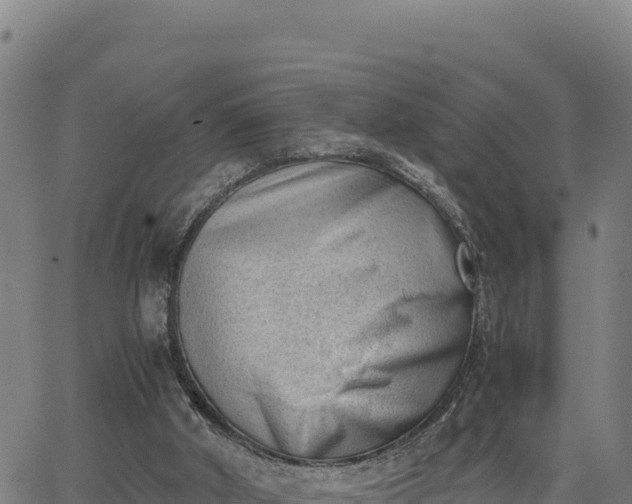 X0000062870010200601201806