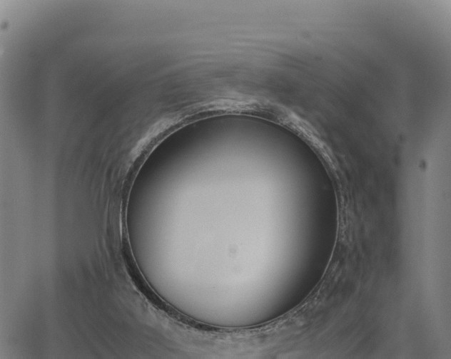 X0000062870011200601201806