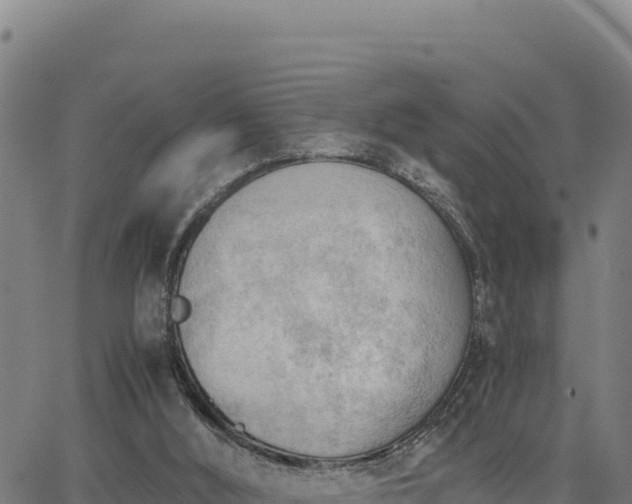 X0000062870012200601201806