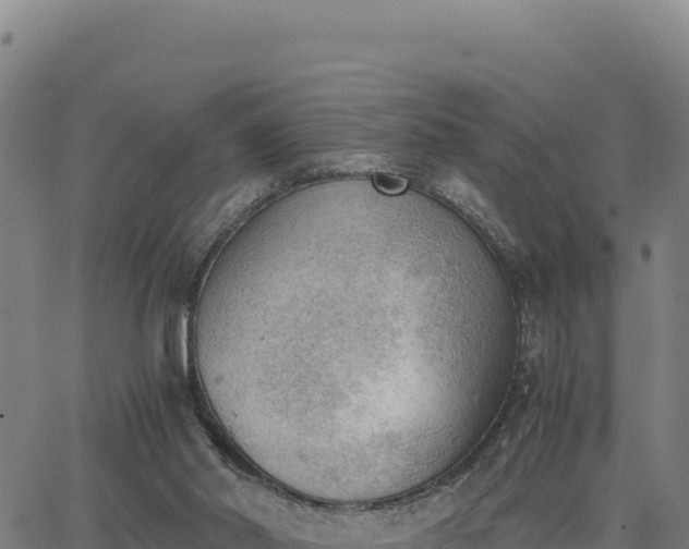 X0000062870014200601201806