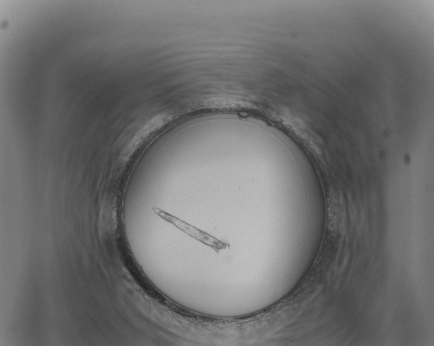 X0000062870015200601201806