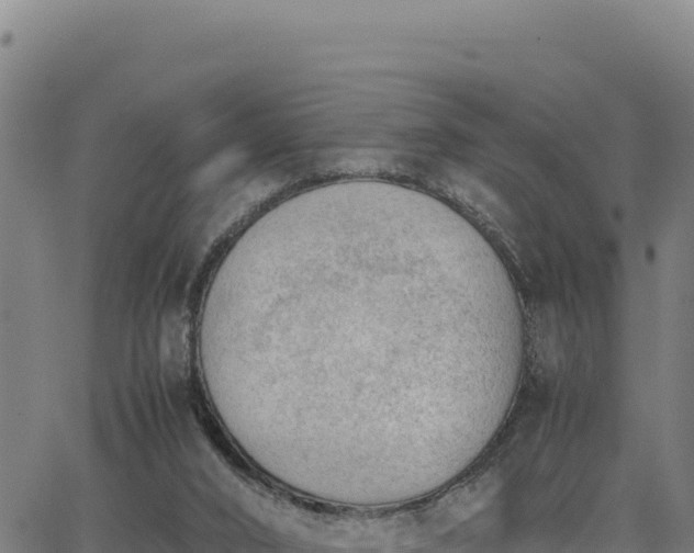 X0000062870016200601201806