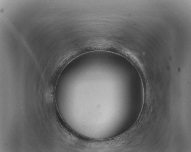 X0000062870017200601201806