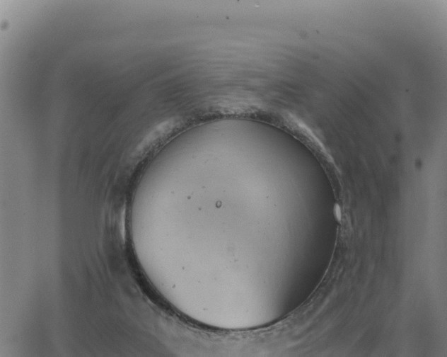 X0000062870019200601201806