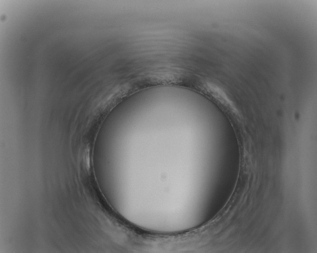 X0000062870021200601201806