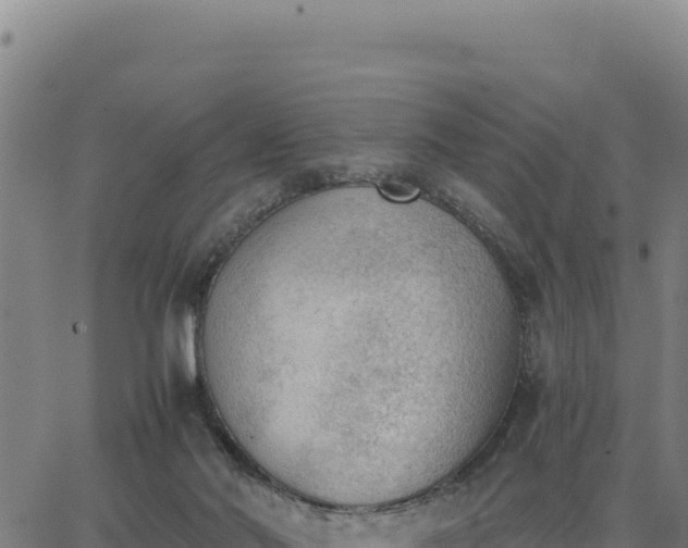 X0000062870022200601201806