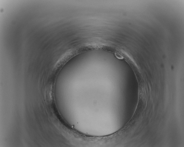 X0000062870023200601201806