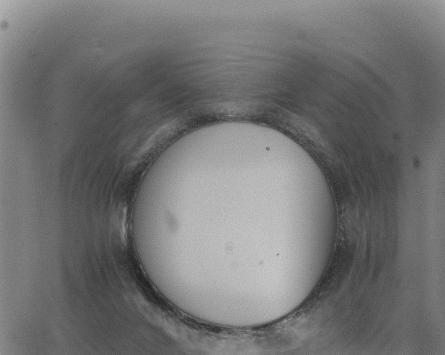 X0000062870024200601201806