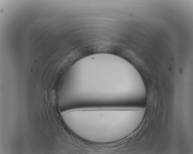 X0000062870025200601201806