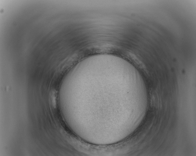 X0000062870026200601201806