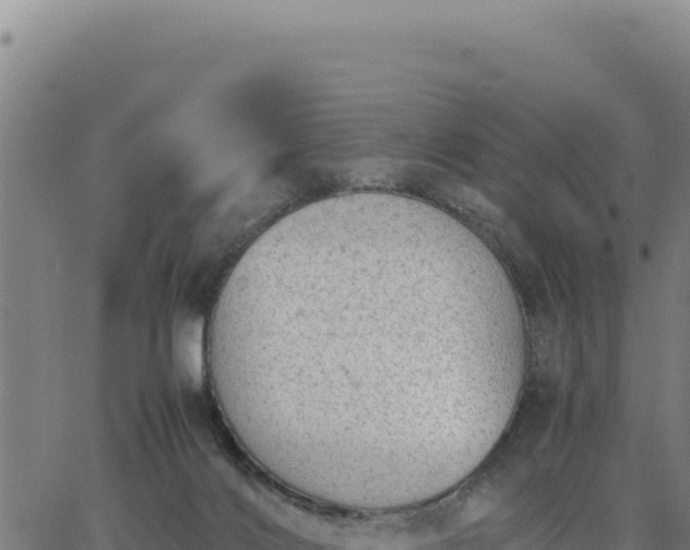 X0000062870028200601201806