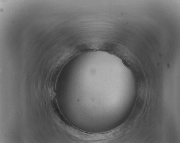 X0000062870031200601201805